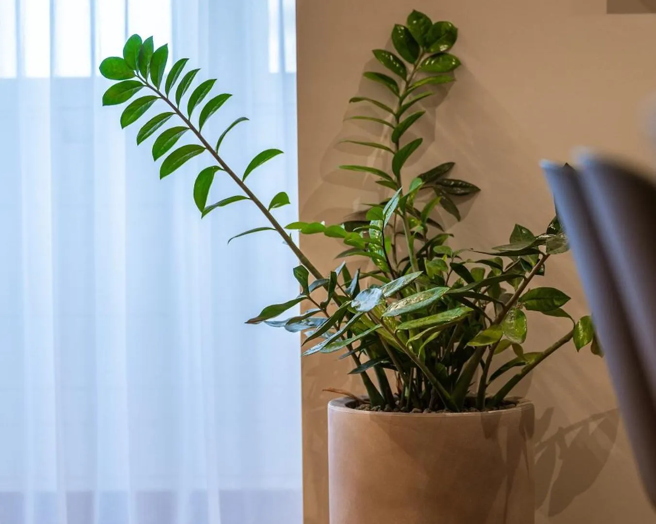 Ferienwohnung Trabuxu Boutique Living Valletta Apartment
